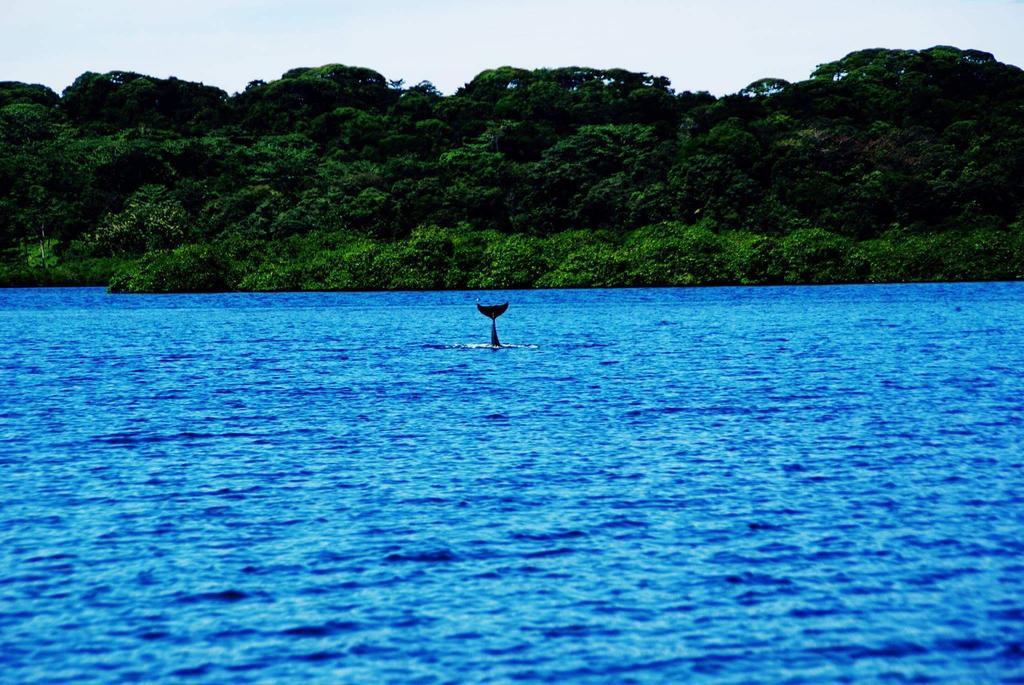 Los Secretos Guesthouse Bocas del Toro Buitenkant foto