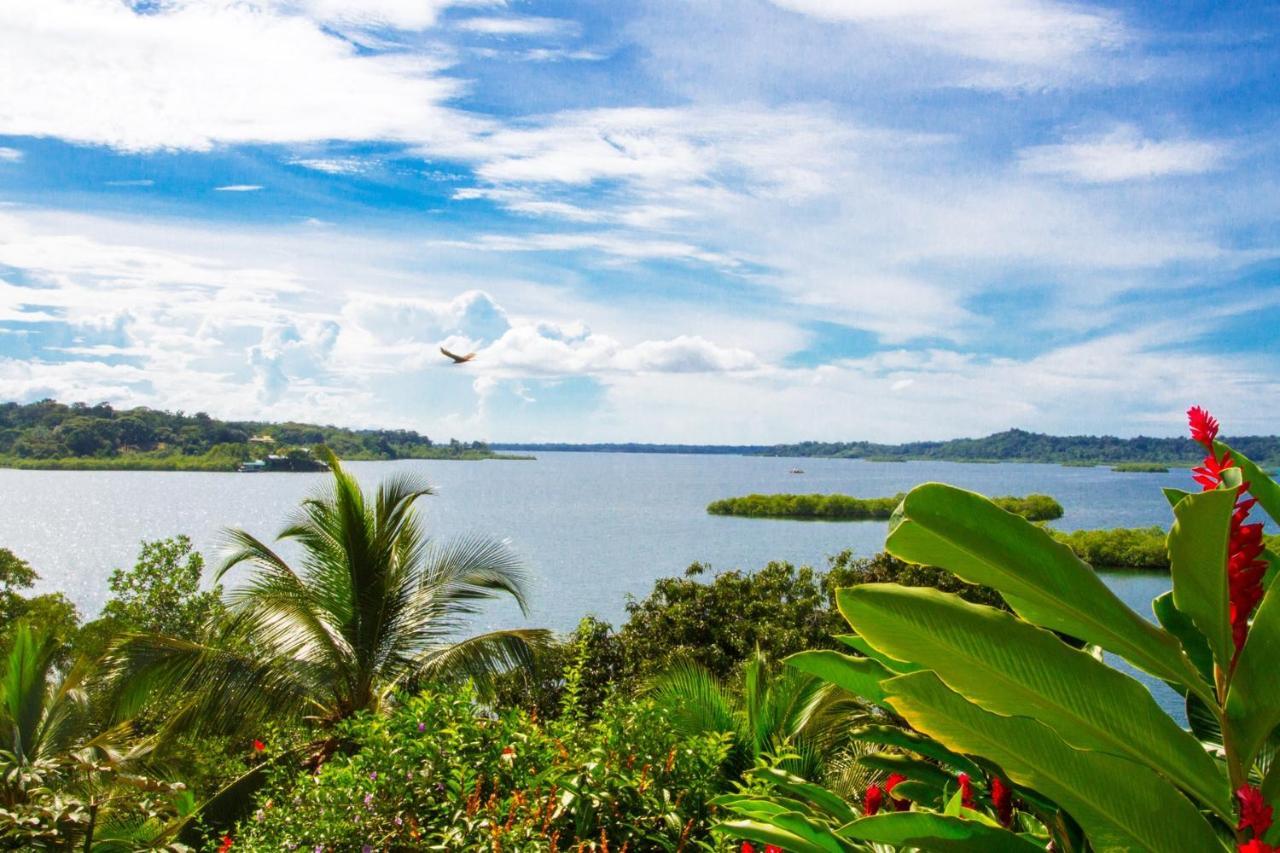 Los Secretos Guesthouse Bocas del Toro Buitenkant foto